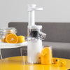 Juicer Household Machine Electric MINI Slag Juice Separation Fruit Juice Machine