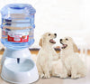 Cats Dogs Automatic Pet Feeder