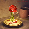 Glass Cover Rose LED Supper Light Valentine Day